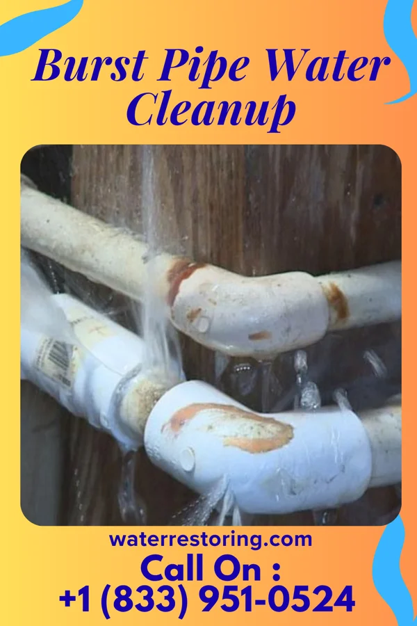 Burst Pipe Water Cleanup in Barron, WI
