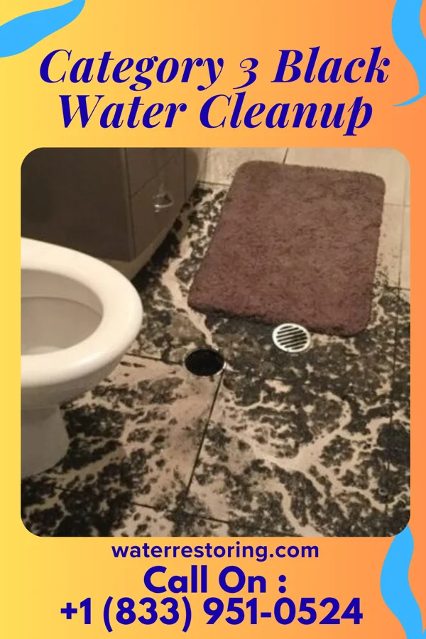 Category 3 Black Water Cleanup in Barron, WI